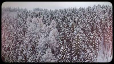 Retro Winter 07 Still