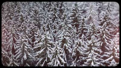 Retro Winter 09 Still