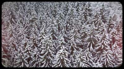 Retro Winter 10 Still