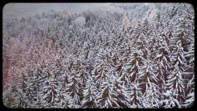 Retro Winter 11 Still