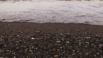 Rocky Shore Edge Still