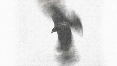 Scarlet Easter 19 Still