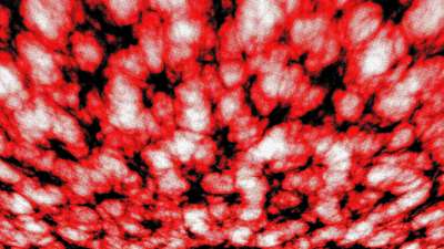 Scarlet Easter 2 Still