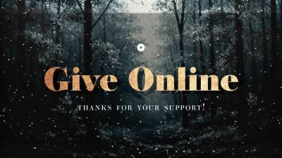 Snow Day Give Stream Still