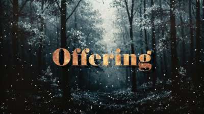 Snow Day Offering Still