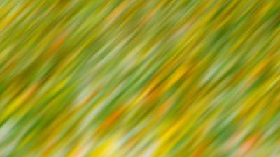 Springtime Bloom 10 Still