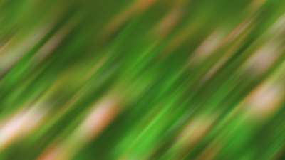 Springtime Bloom 12 Still