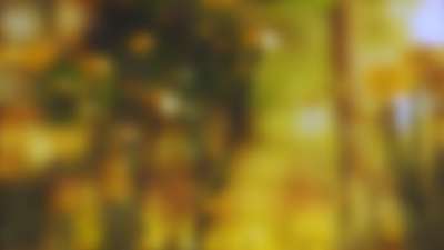 Springtime Bloom 14 Still