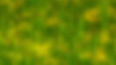 Springtime Bloom 17 Still