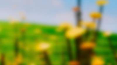 Springtime Bloom 19 Still