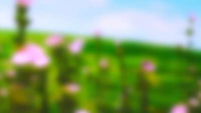 Springtime Bloom 21 Still