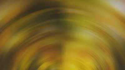 Springtime Bloom 22 Still