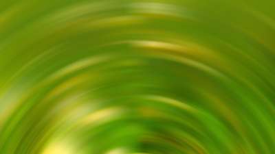 Springtime Bloom 24 Still