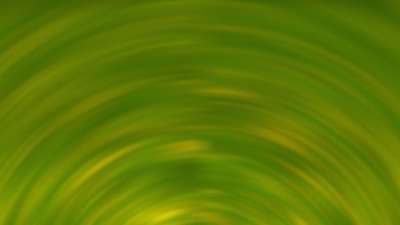 Springtime Bloom 25 Still