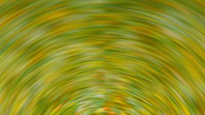 Springtime Bloom 26 Still