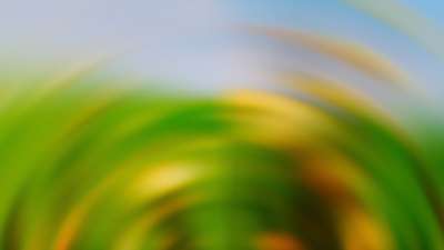 Springtime Bloom 27 Still