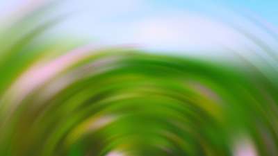 Springtime Bloom 29 Still