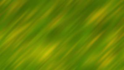 Springtime Bloom 9 Still