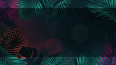 Vibrant Palms 1 Alt Still