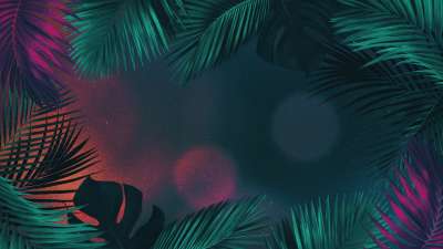 Vibrant Palms 1 Still