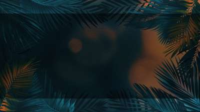 Vibrant Palms 2 Alt Still