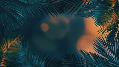 Vibrant Palms 2 Still