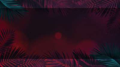 Vibrant Palms 4 Alt Still