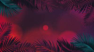 Vibrant Palms 4 Still