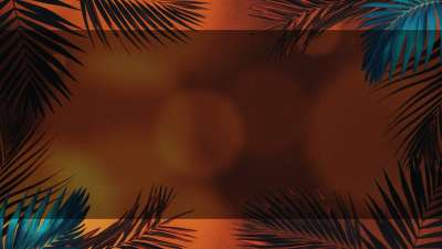 Vibrant Palms 5 Alt Still