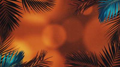 Vibrant Palms 5 Still