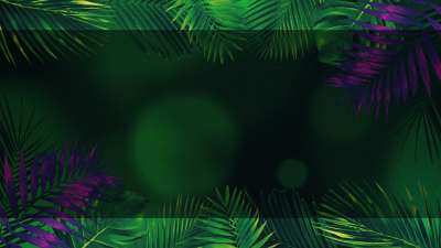 Vibrant Palms 6 Alt Still