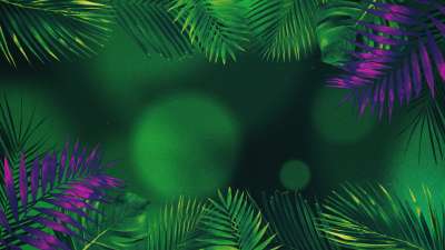 Vibrant Palms 6 Still