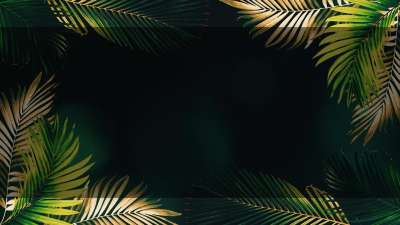 Vibrant Palms 7 Alt Still