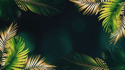 Vibrant Palms 7 Still