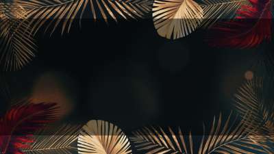 Vibrant Palms 8 Alt Still