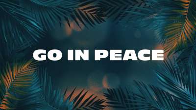 Vibrant Palms Exit Still