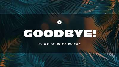 Vibrant Palms Exit Stream Still