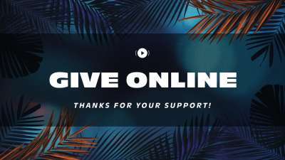 Vibrant Palms Give Stream Still