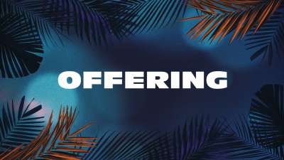 Vibrant Palms Offering Still