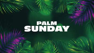 Vibrant Palms Palm Sunday Still