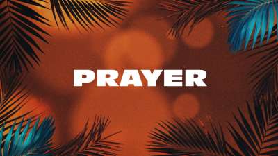 Vibrant Palms Prayer Still