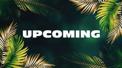 Vibrant Palms Upcoming Still