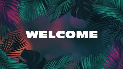 Vibrant Palms Welcome Still