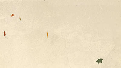 Vintage Fall 05 Still