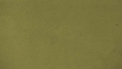 Vintage Fall Green Still