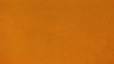 Vintage Fall Orange Still