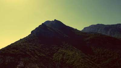 Vintage Lake 10 Alt Still