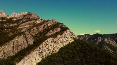 Vintage Lake 12 Alt Still