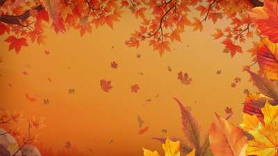 Warm Autumn Colors AM Graphic 03