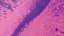 Abstract Liquid 03 Still